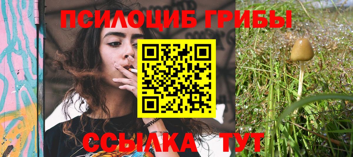Галлюциногенные грибы GOLDEN TEACHER  Вход с VPN  Большой Камень 