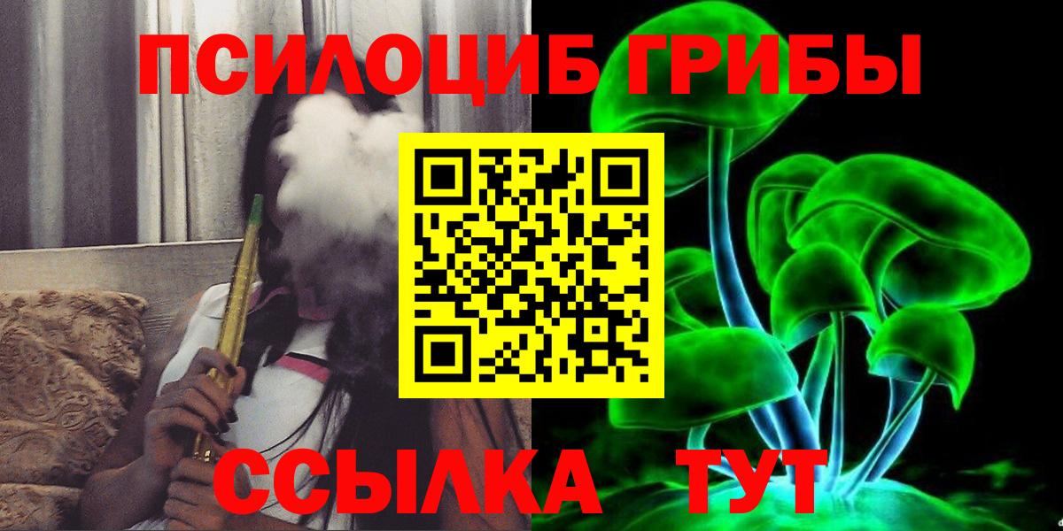 Галлюциногенные грибы Psilocybe Большой Камень